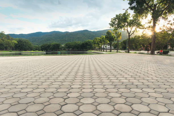 Best Best Driveway Pavers  in West Livingston, TX